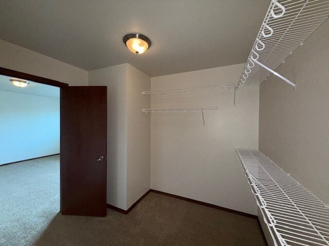 Building Photo - 2050 Andress Ln