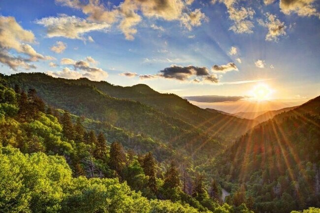 Building Photo - 801 Crystal Br Wy