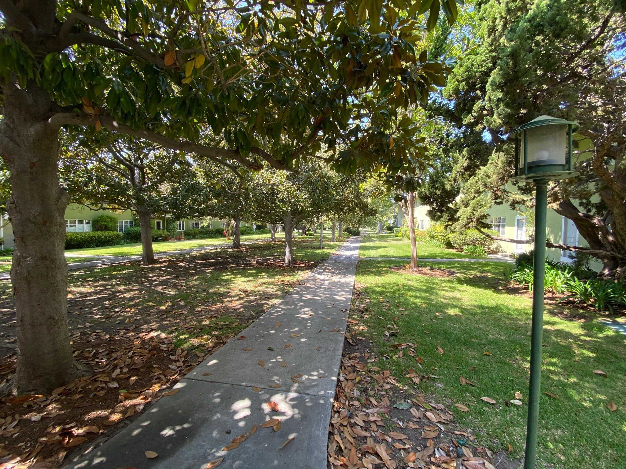 Tree lined pathway outside patio entrance - 5414 Village Grn
