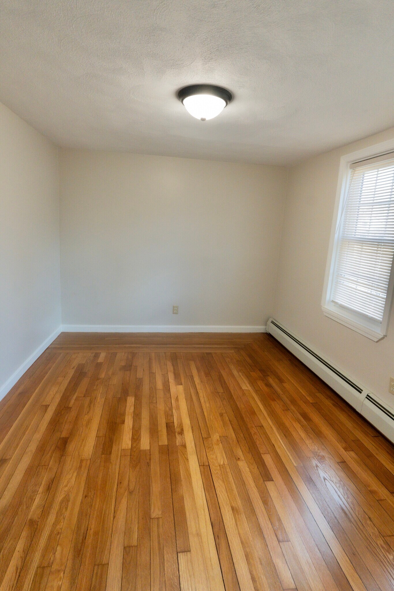 Building Photo - 178 Manning St