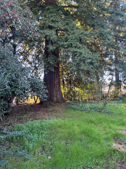 Building Photo - 11724 Alta Vista Ave