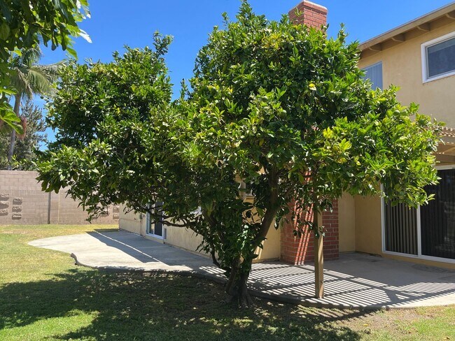 Building Photo - Wonderful Home with 3-Bedrooms, 2-Bath Plu...