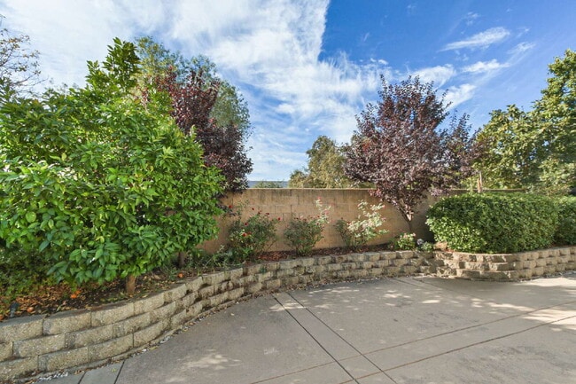 Building Photo - Single-Story 3-Bedroom with 3-Car Garage in Mace Ranch