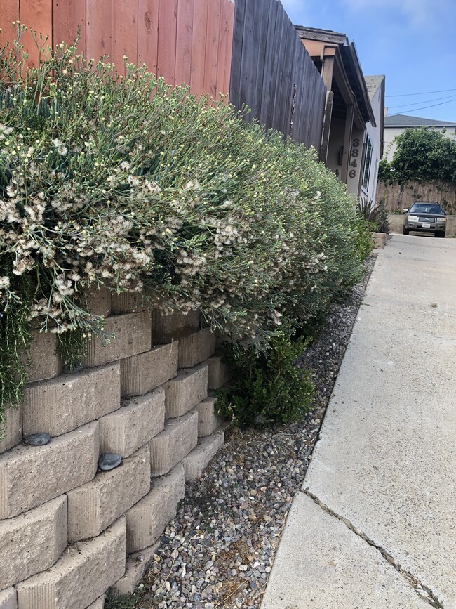 Driveway to parking / garage / carport - 3846 Udall St