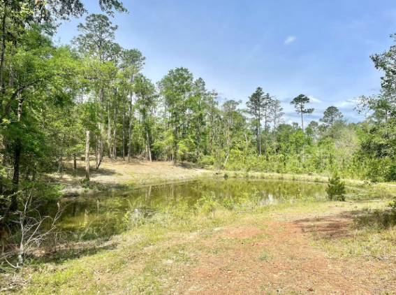 Pond for fishing - 3399 Wild Turkey Rd