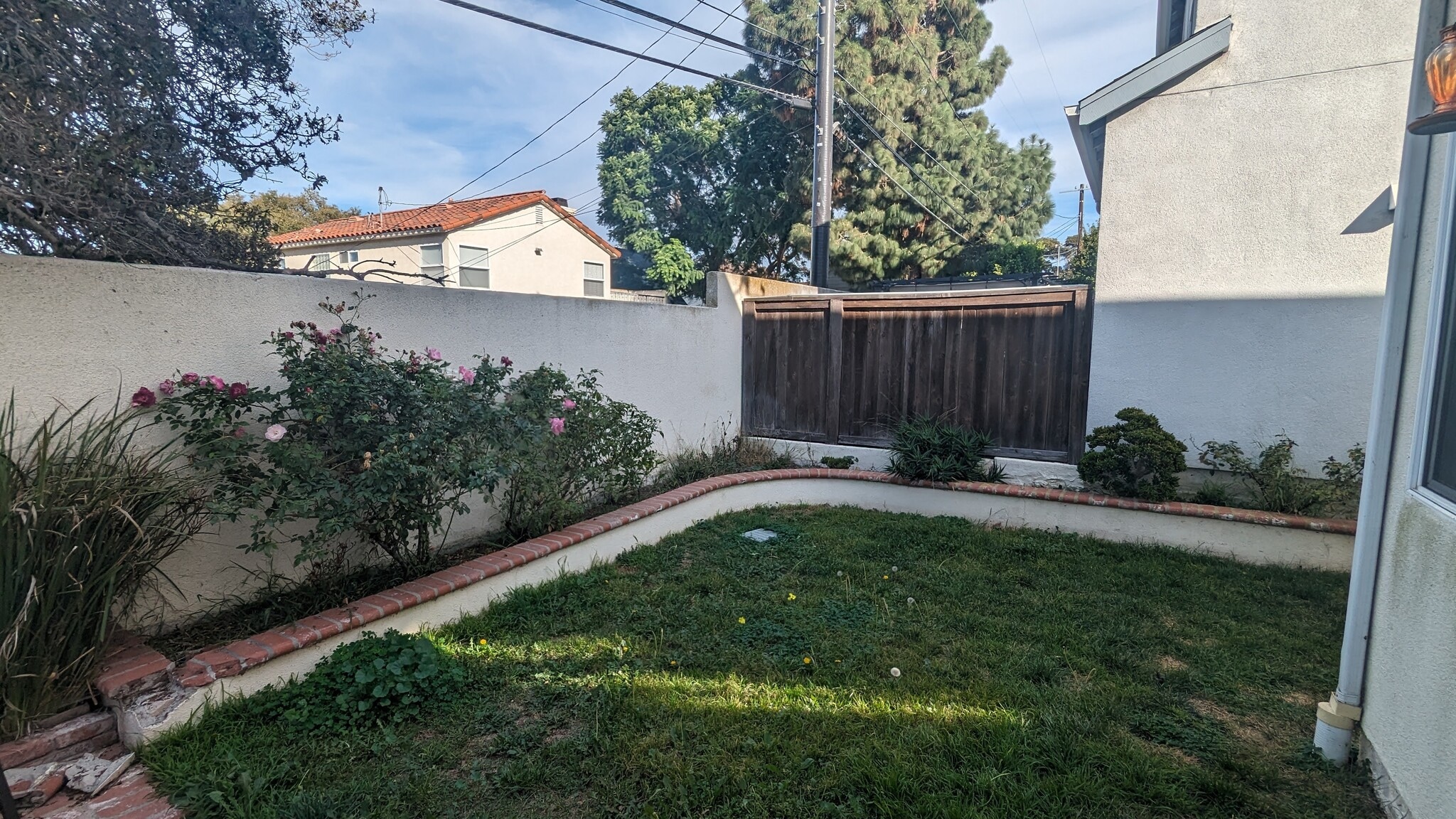 Side Yard - 1554 Plymouth Ln