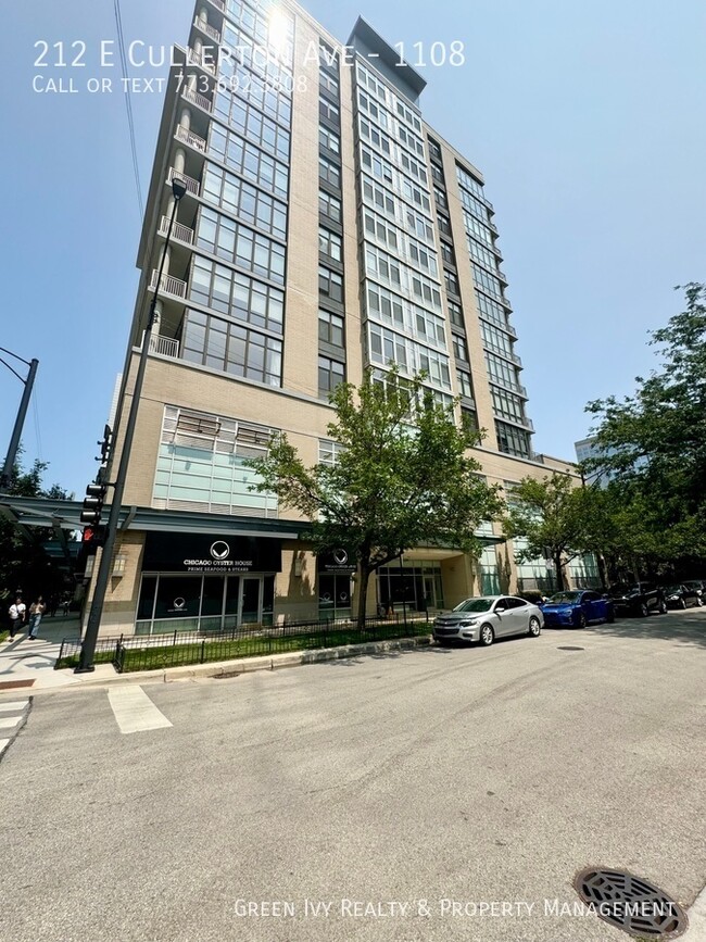 Primary Photo - 1 Bed 1 Bath in the South Loop with amazin...