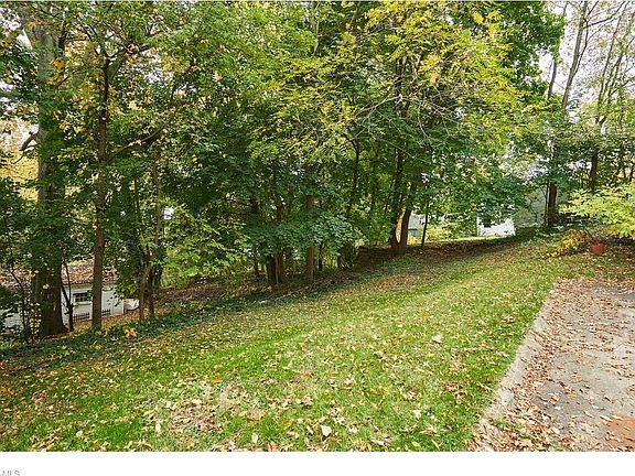 Backyard - 406 E Lake Ave