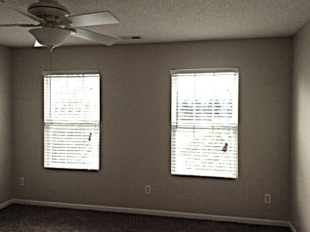 Building Photo - 2305 Apple Glen Ln