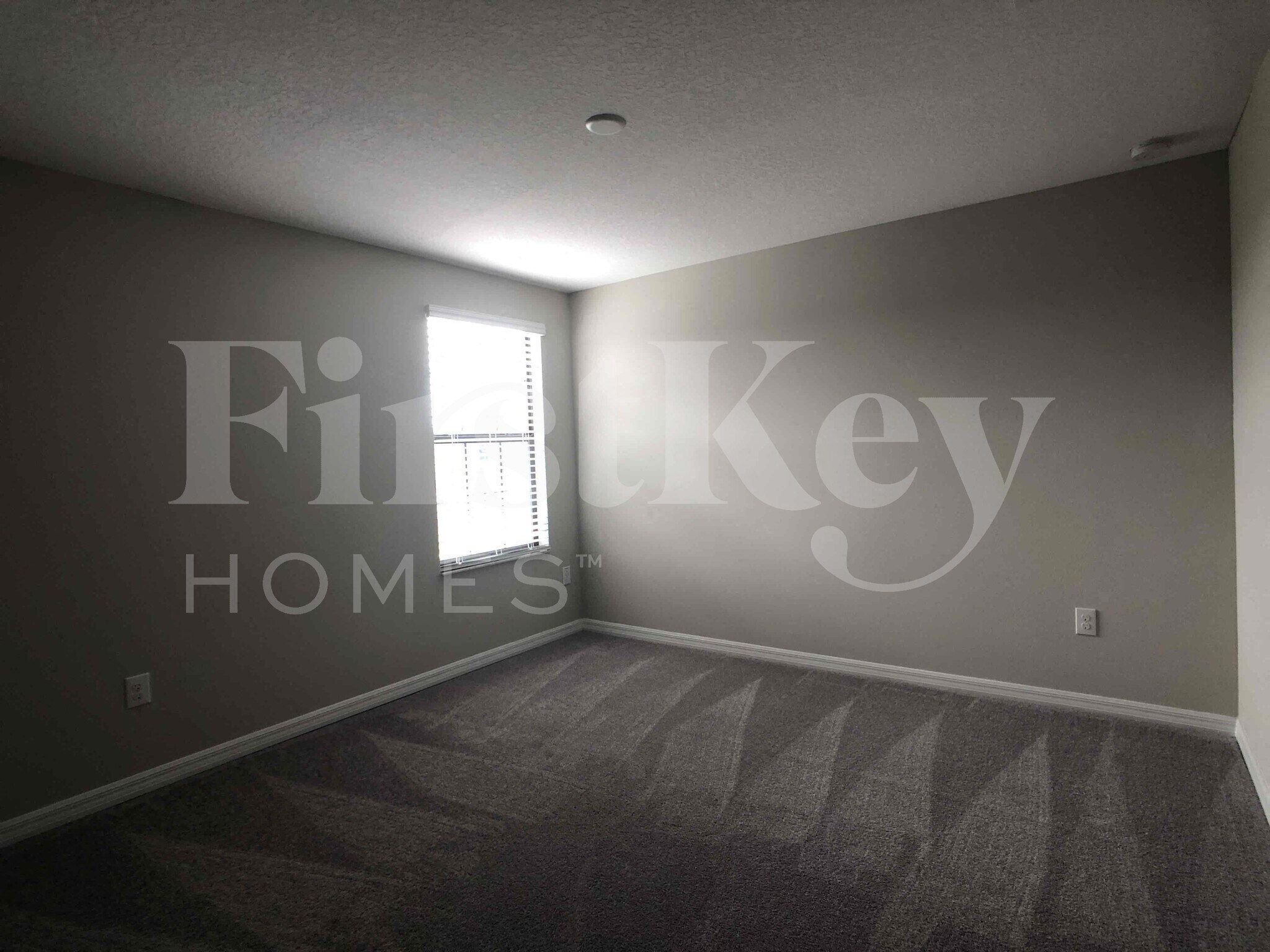 Building Photo - 5102 Brickwood Rise Dr