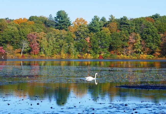 Building Photo - 2 Hammond Pond Pkwy