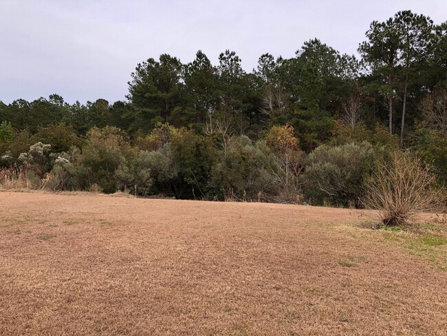 Building Photo - 3 Bedroom 2 Bath House in Quail Hill - Goo...