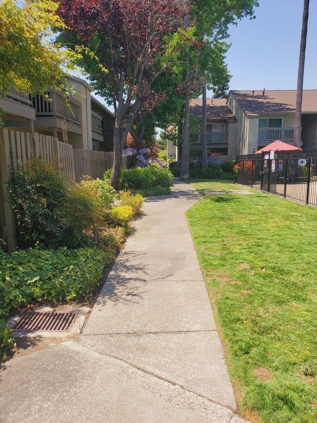 Building Photo - Tasteful Single Story Condo 1bd/1ba - Grea...