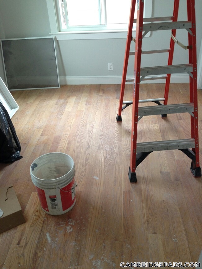 Building Photo - 376 Prospect St