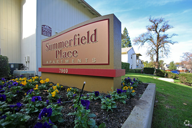 Primary Photo - Summerfield Place Apartments