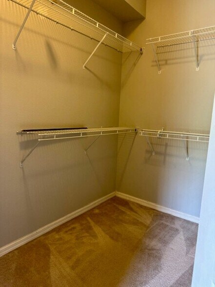 Building Photo - 1207 Auburn Lakes Dr