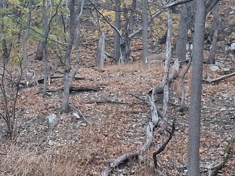 Building Photo - 1517 Hill Rd