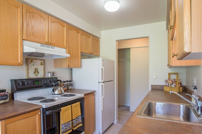 Andorra Apartments- Large kitchen with wooden cabinets and lots of storage space - Andorra