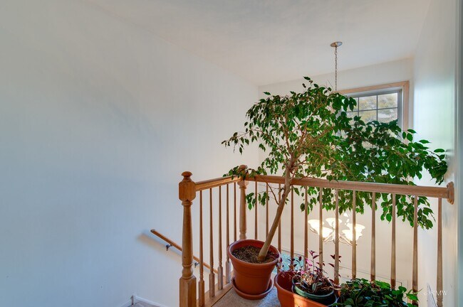 Building Photo - 224 Chesterfield Ct