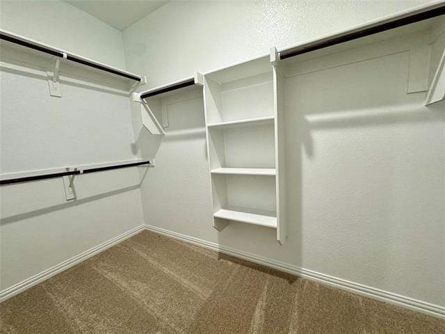 Building Photo - 1016 Longleaf Ln