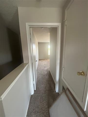 Building Photo - 4256 Meadowknoll Dr