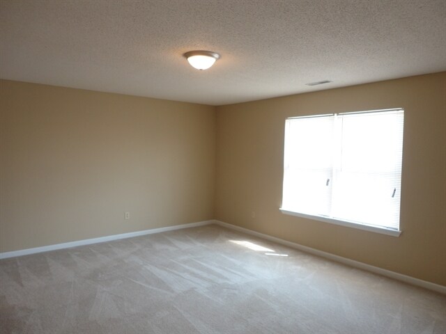 Building Photo - 17378 Austrian Pine Way