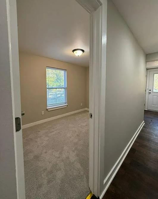 Building Photo - 221 Sheppard Pl