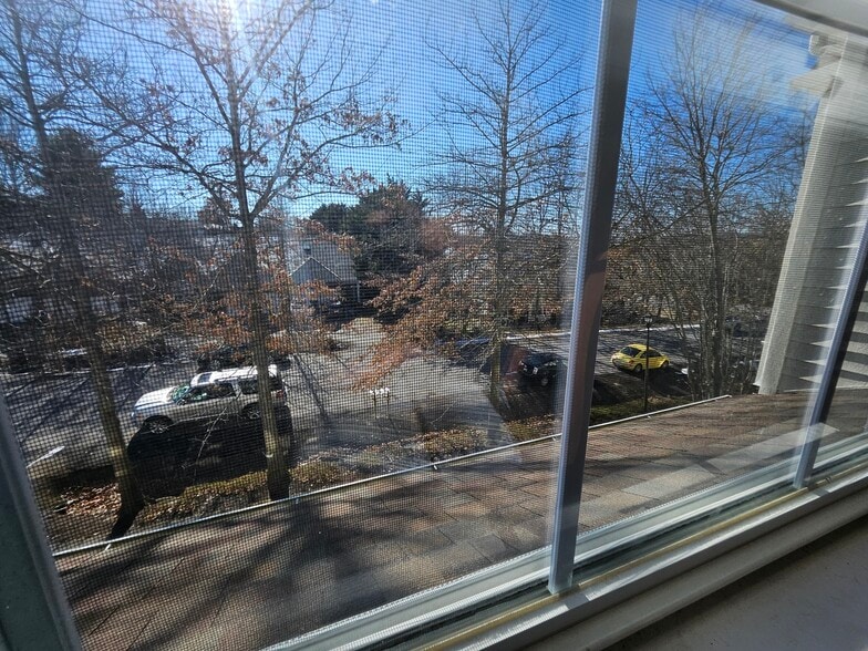 Building Photo - 545 Silver Leaf Dr