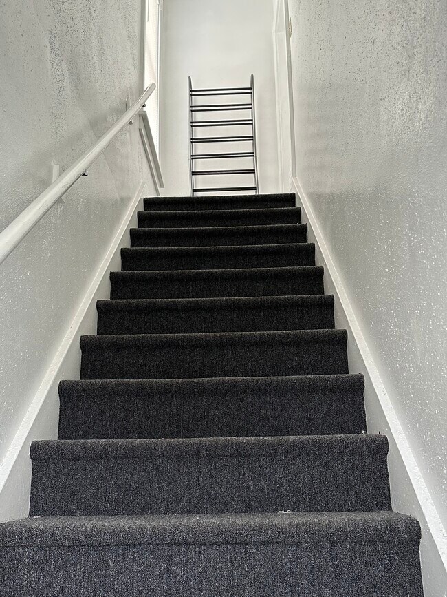 Building Photo - 269 New Scotland Ave