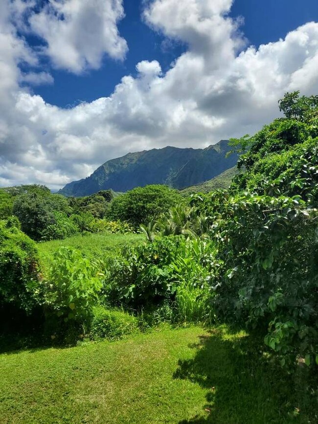 Backyard View - 47-334 Waihee Rd