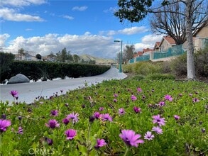Building Photo - 30665 Spring Deep Terrace