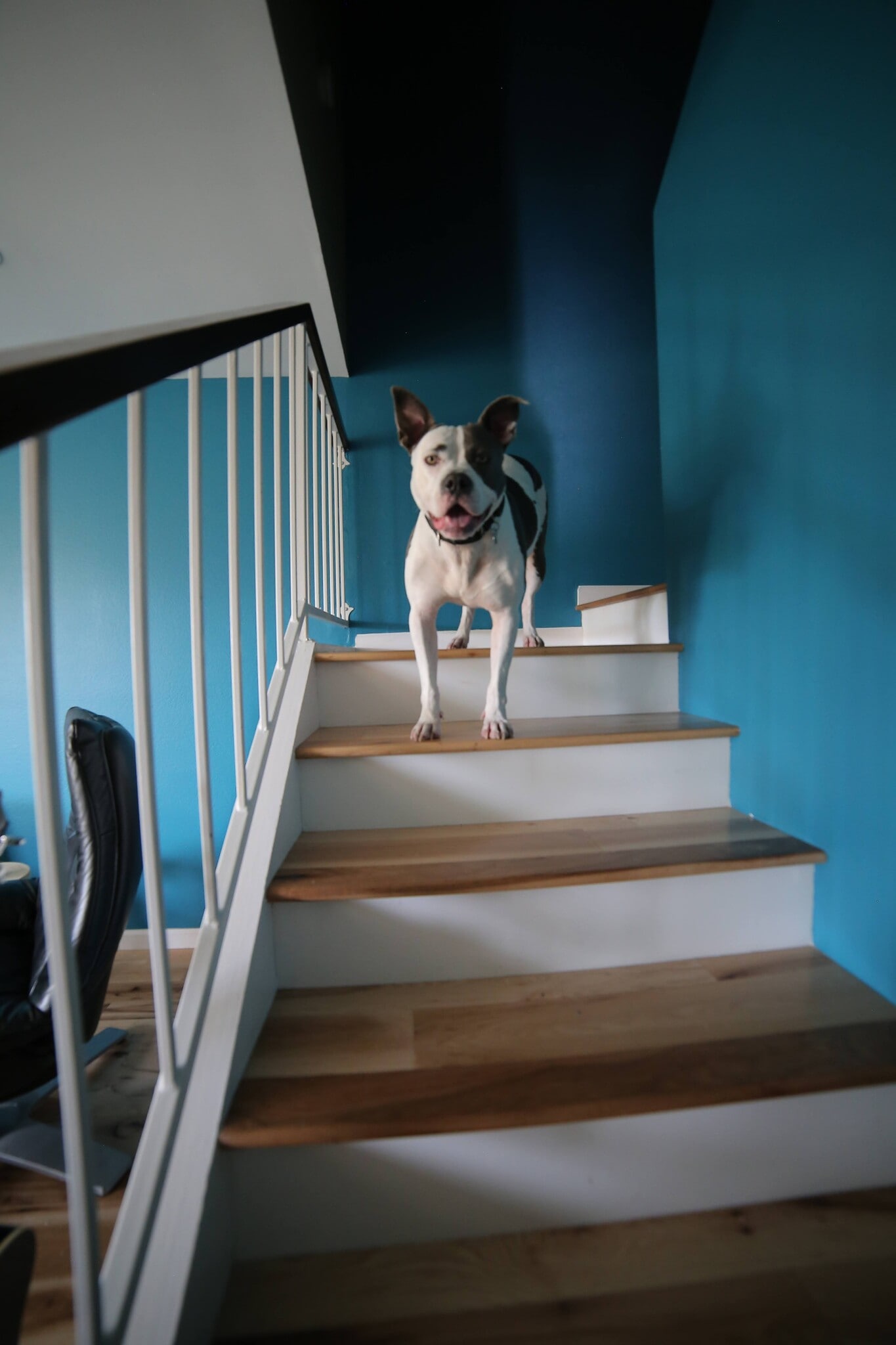 Stairway - 3512 Del Amo Blvd