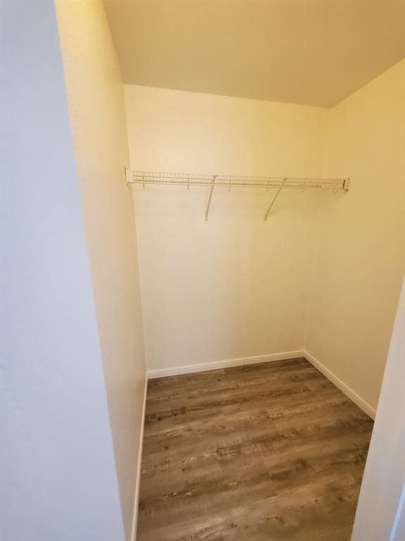 Building Photo - 1014 Glen Meadow Cove