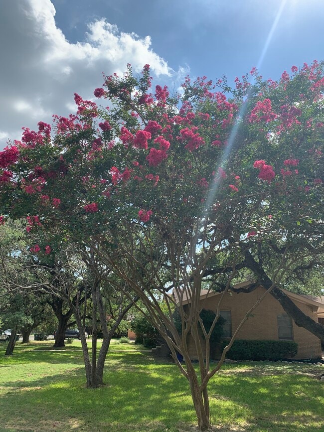 Building Photo - 1000 Hillyer St