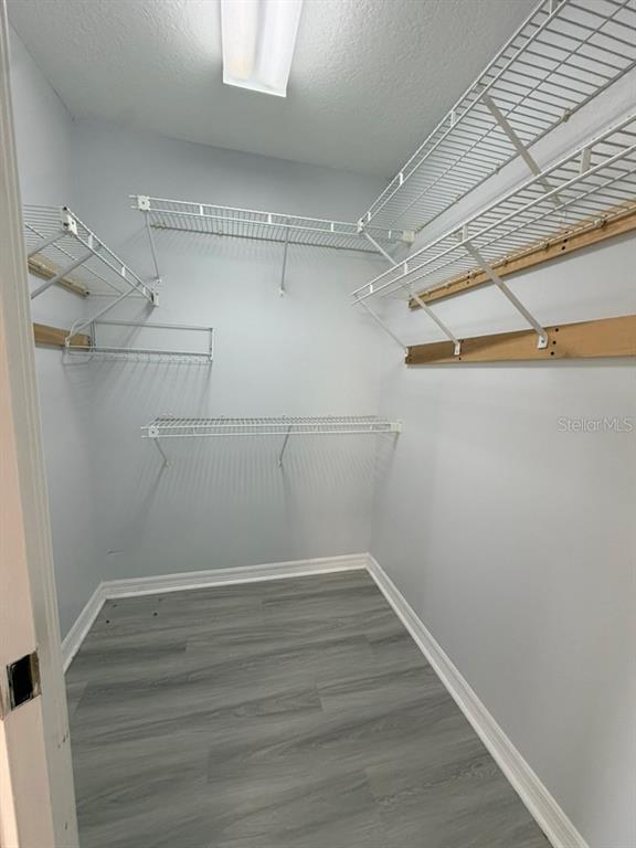Building Photo - 1207 Almond Tree Ct