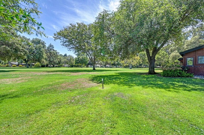 Building Photo - Fabulous condominium home on 6th Fairway of El Macero Country Club.