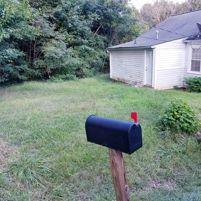 Backyard - 100 Stone Dr