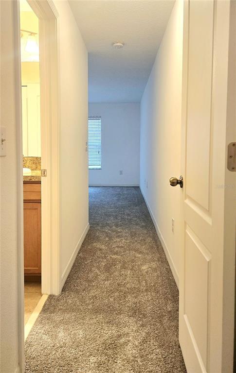 Building Photo - 405 Carina Cir