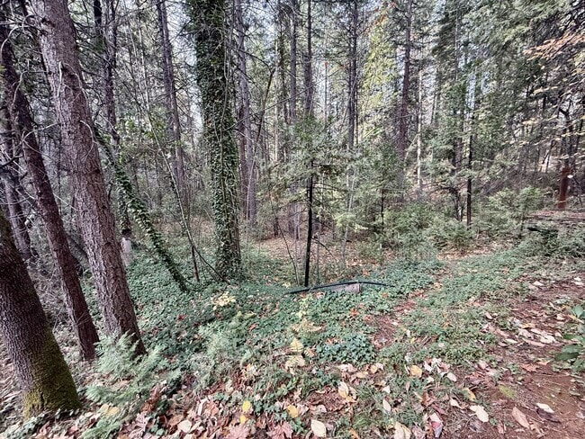 Building Photo - 17723 Lazy Dog Rd