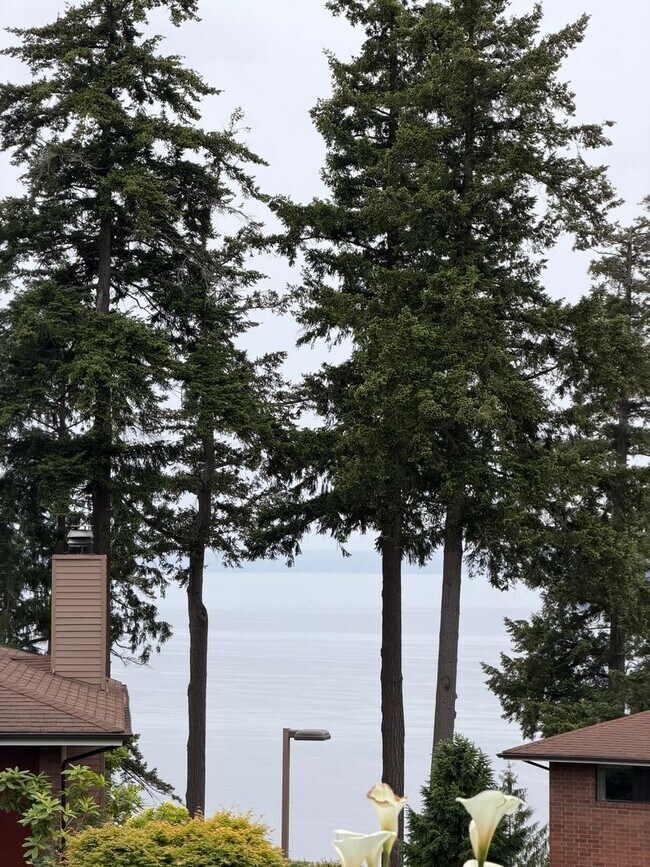 Building Photo - Mukilteo View Condo