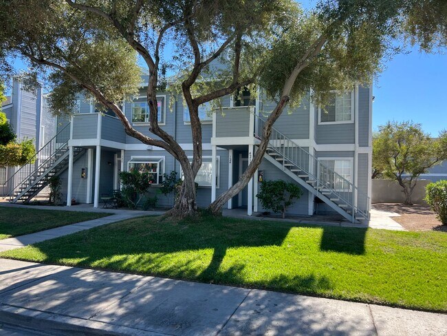 Building Photo - Best kept Fourplex- Mature Landscaping