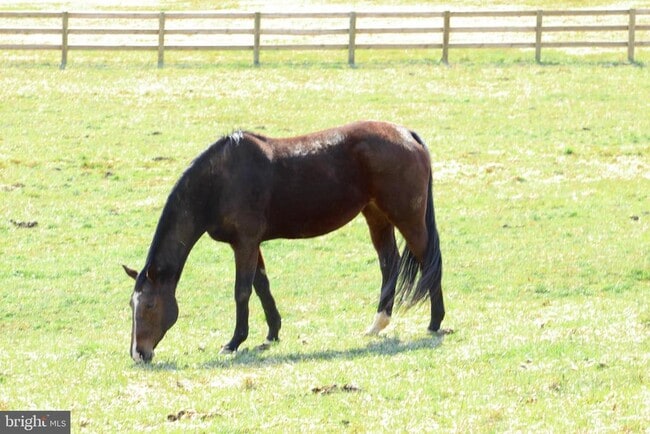 Building Photo - 739 S Main St