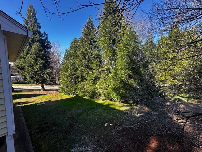 Building Photo - Light Filled 4 Bedroom 2.5 Bathroom Two-St...