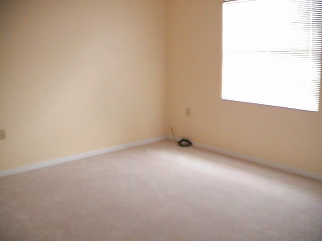 Building Photo - Beautiful 2x2 Downtown