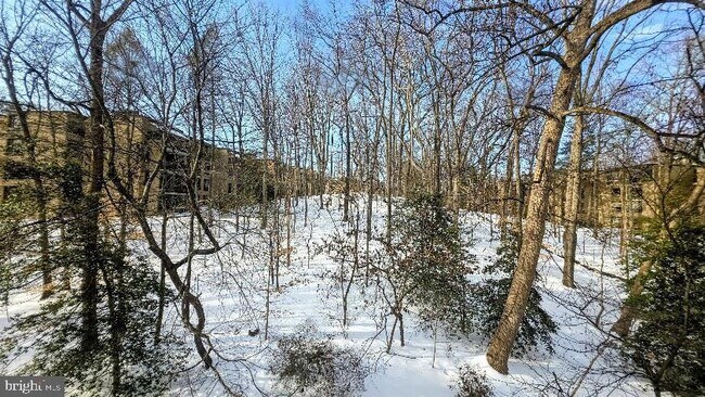 Building Photo - 4960 Sentinel Dr