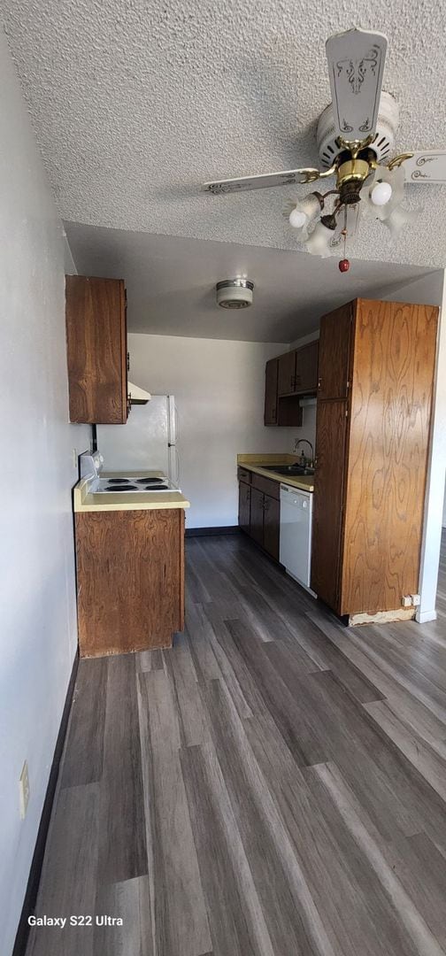 Primary Photo - Garden level 2 bed, 1 bath apartment in Ch...