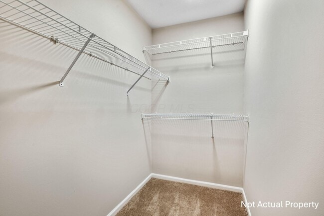 Building Photo - 4913 Stratford Pine Ln