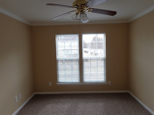 Building Photo - 3539 Balsam Tree Dr