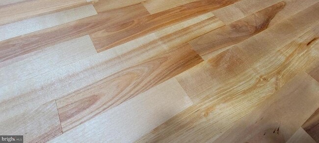 Building Photo - 104 Middleneck Ln