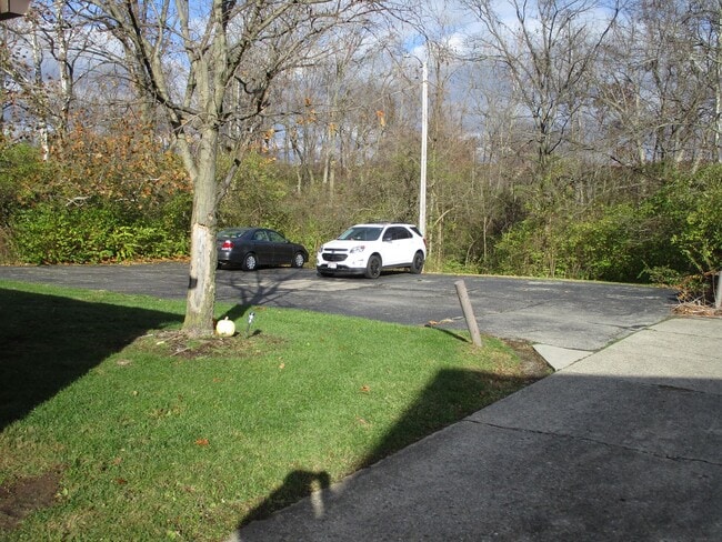 Building Photo - 1306 Black Forest Dr